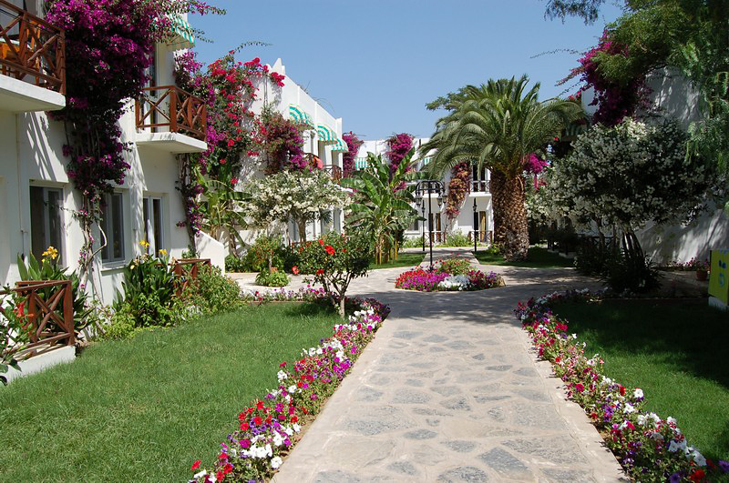 Petunya Beach Resort 6