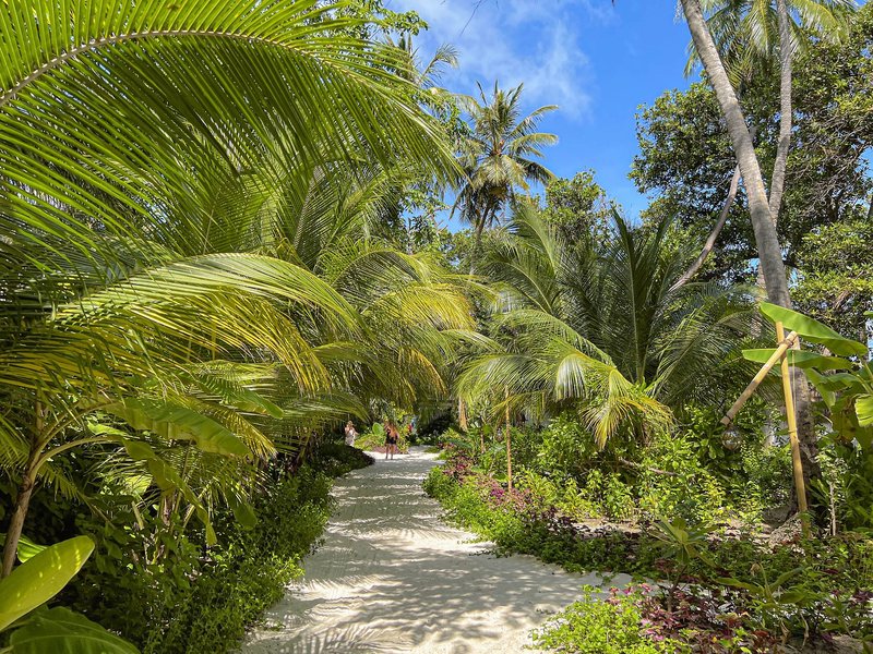 Malahini Kuda Bandos Resort 10 - Garden