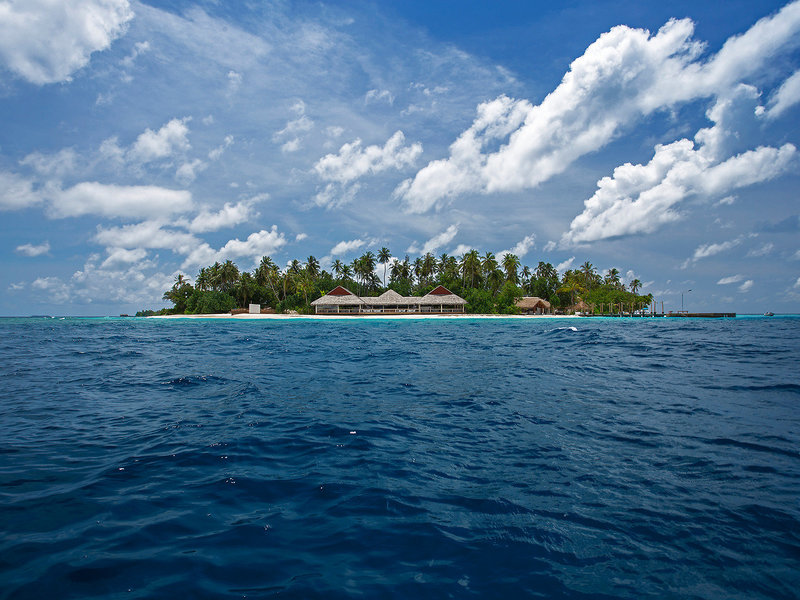 Malahini Kuda Bandos 1