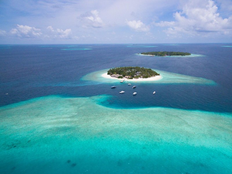 Malahini Kuda Bandos 5