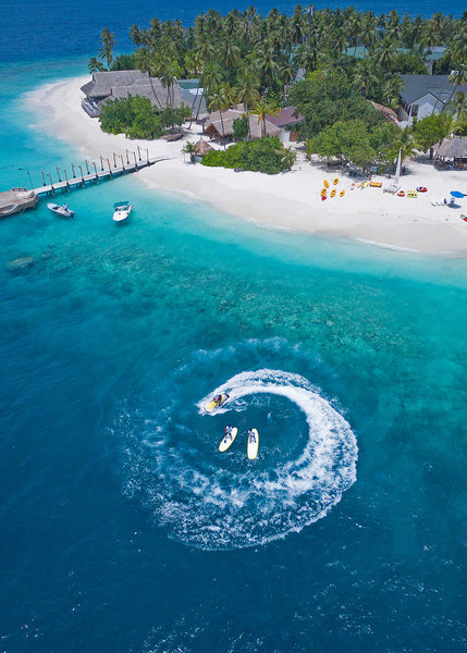 Malahini Kuda Bandos 8