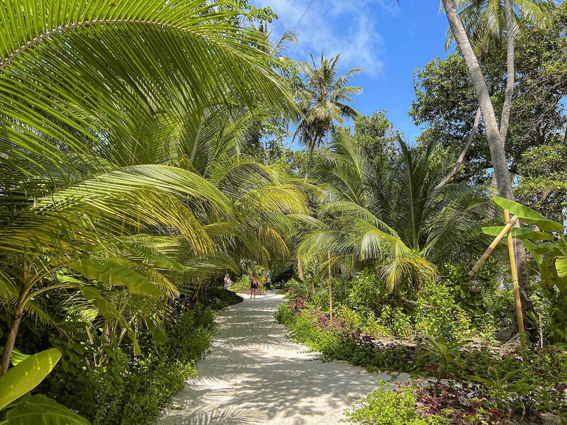 Malahini Kuda Bandos 14