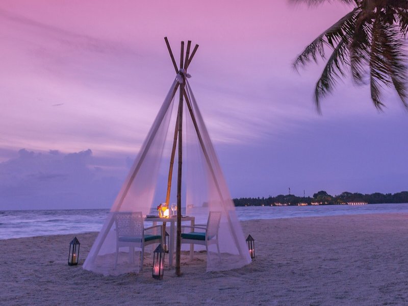 Malahini Kuda Bandos 16