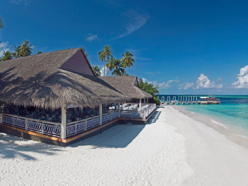Malahini Kuda Bandos 18