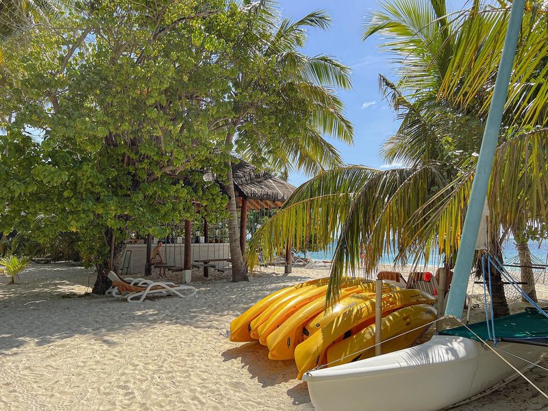 Malahini Kuda Bandos 28