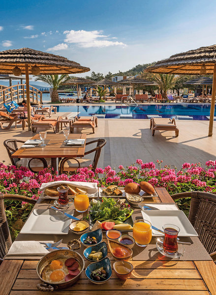 Samara 23 - Restaurant