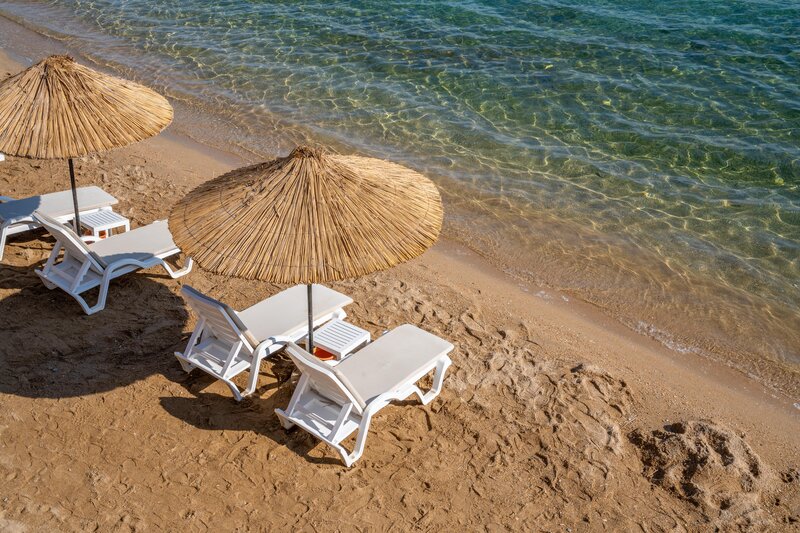 Duja Didim 42