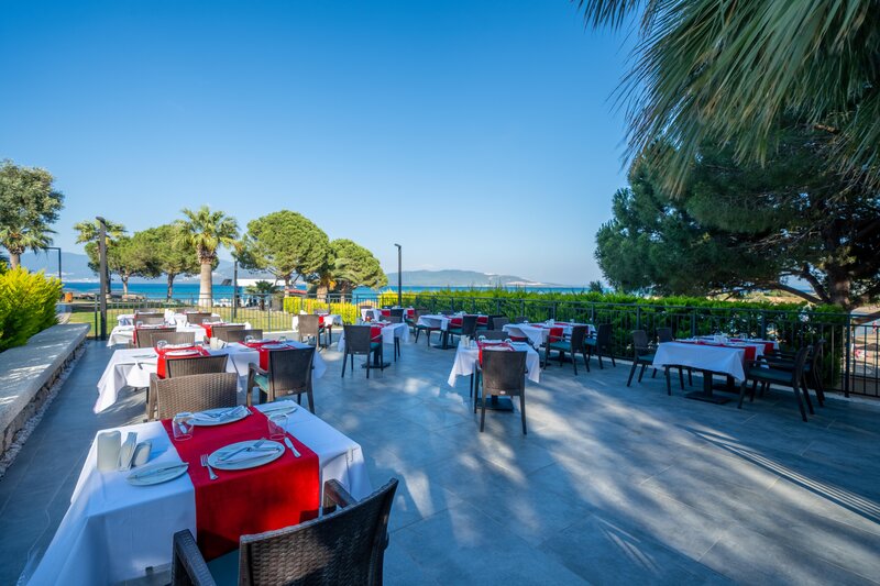 Duja Didim 50