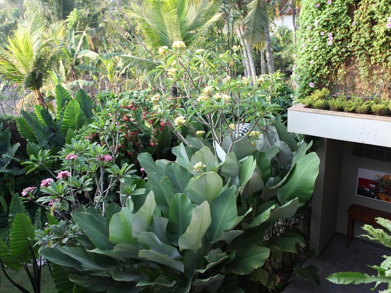 Ubud Wana Resort 7