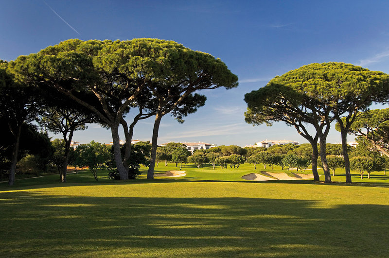 Pine Cliffs Townhouses 23