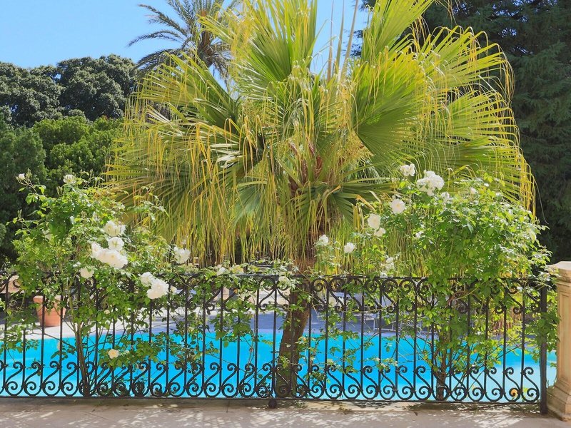 Parco delle Fontane 11