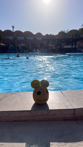 Novotel Marsa Alam 64