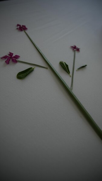 Novotel Marsa Alam 90