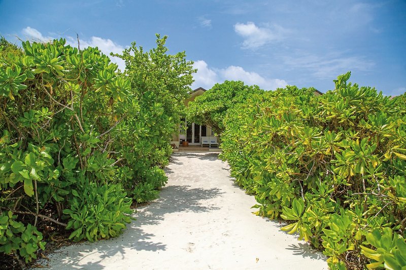 Hondaafushi Island Resort 13