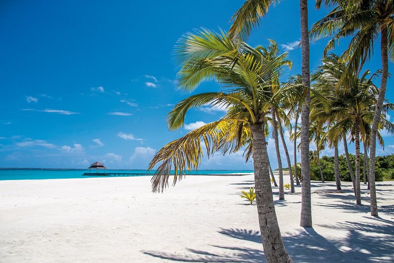 Hondaafushi Island Resort 22