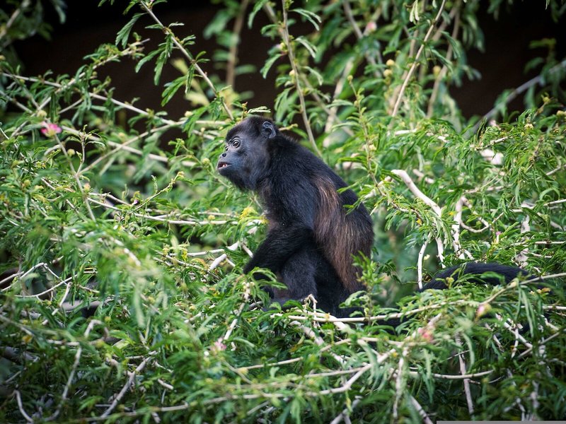 Rio Perdido Hotel & Thermal River 10
