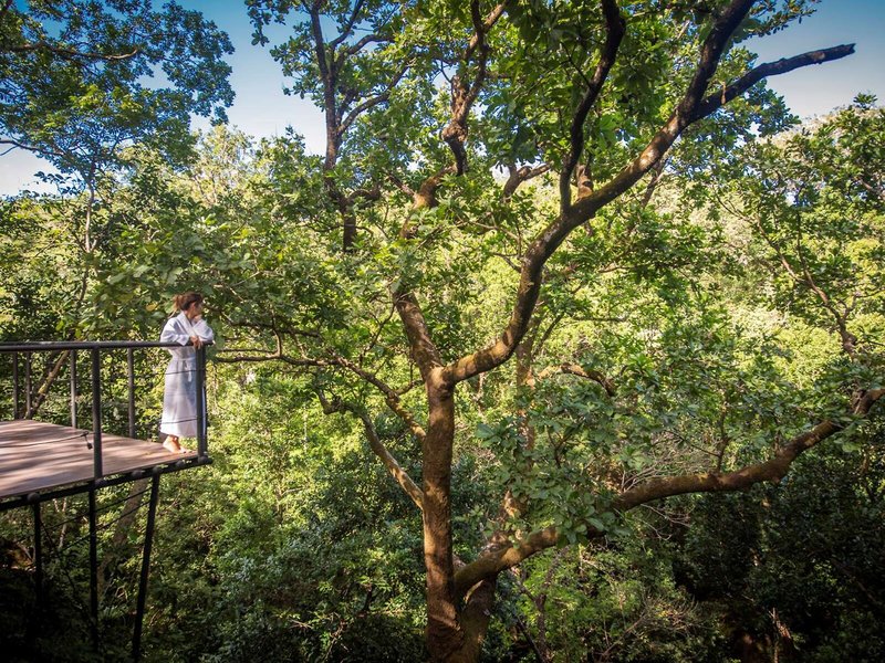 Rio Perdido Hotel & Thermal River 18