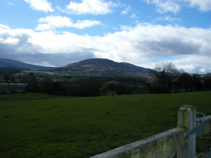 Ashfield Bed & Breakfast 1