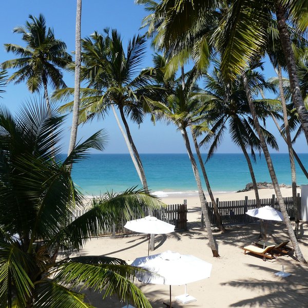 Oasis Ayurveda Beach Hotel 5