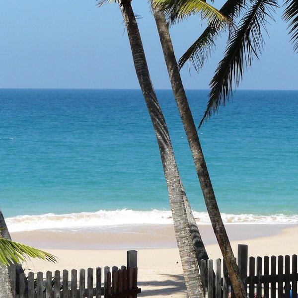 Oasis Ayurveda Beach Hotel 30
