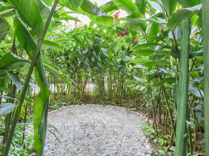 The Yucatan Playa del Carmen All-Inclusive Resort, Tapestry by Hilton 6