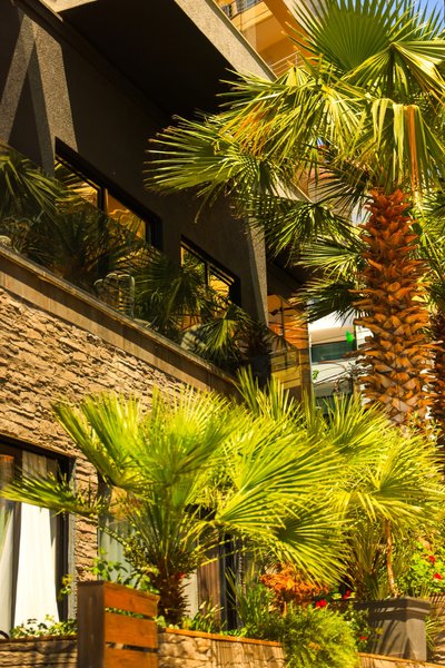 Apollon Hotel 2