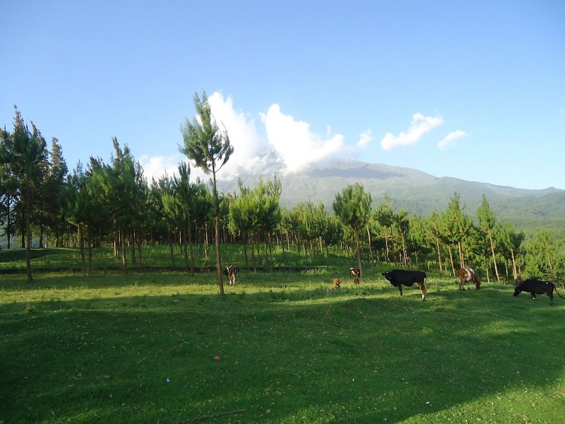 Mvuli Hotel 6