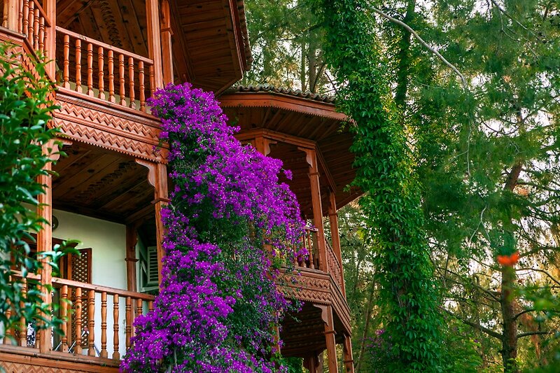 Club & Hotel Letoonia 36