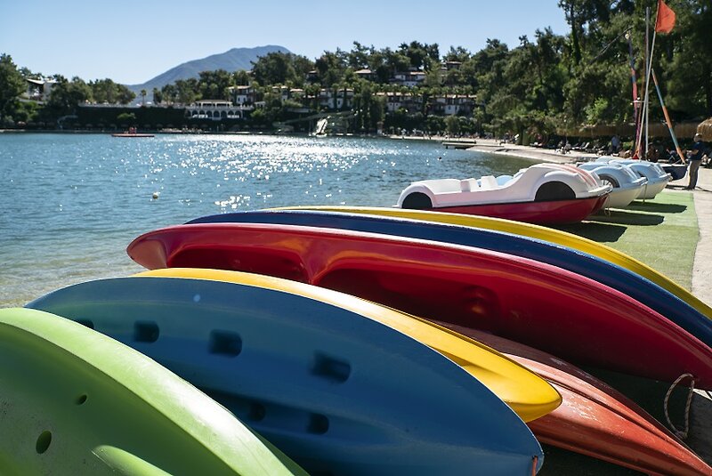 Club & Hotel Letoonia 50