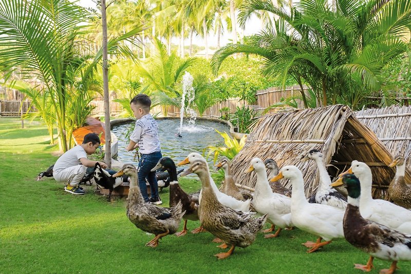 Fusion Resort Cam Ranh 42