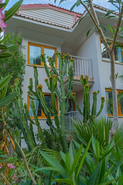 Dream of Ölüdeniz 58