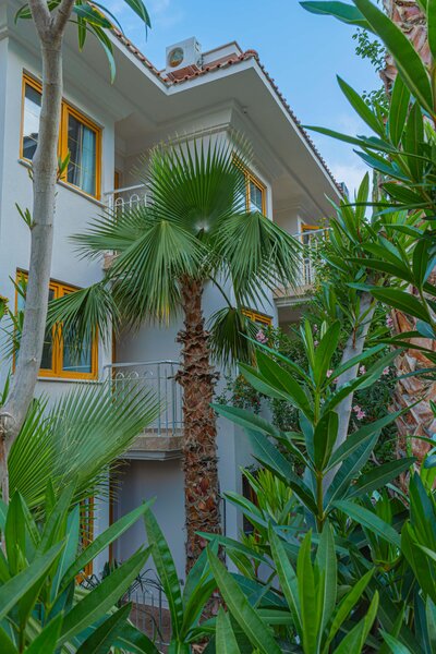 Dream of Ölüdeniz 59