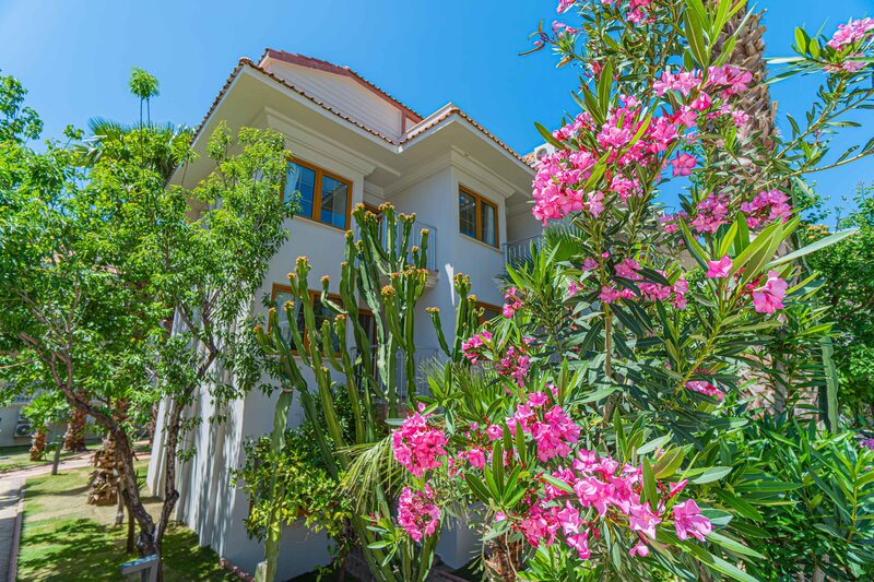 Dream of Ölüdeniz 36