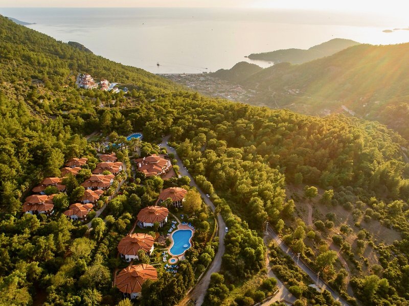 Montana Pine Resort 2