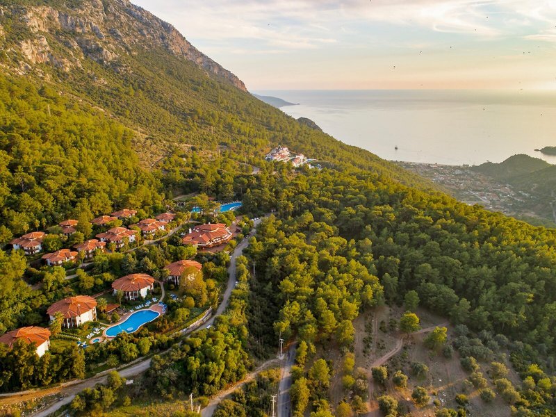 Montana Pine Resort 4