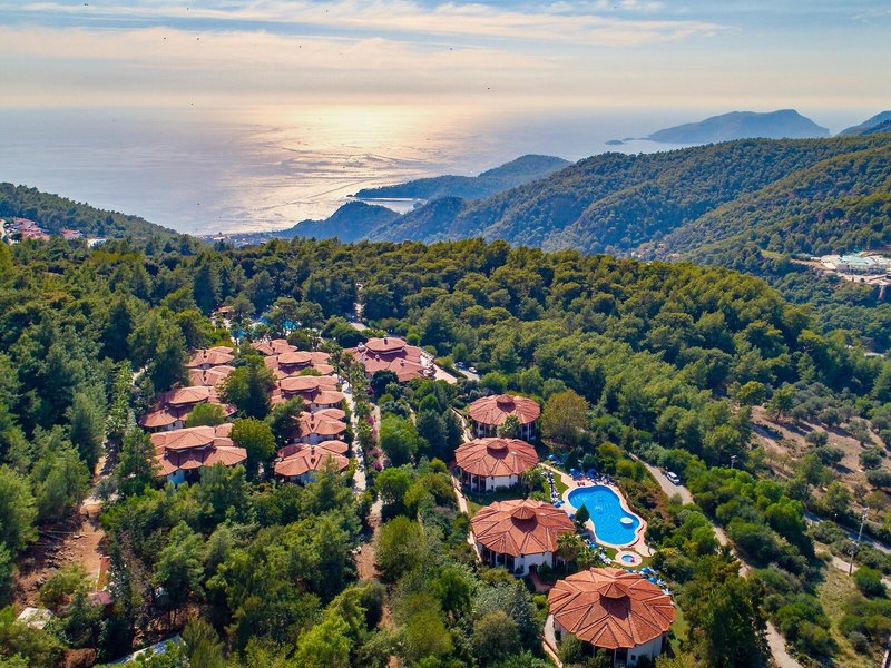 Montana Pine Resort 11