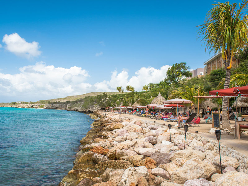 Coral Estate Luxury Resort 7