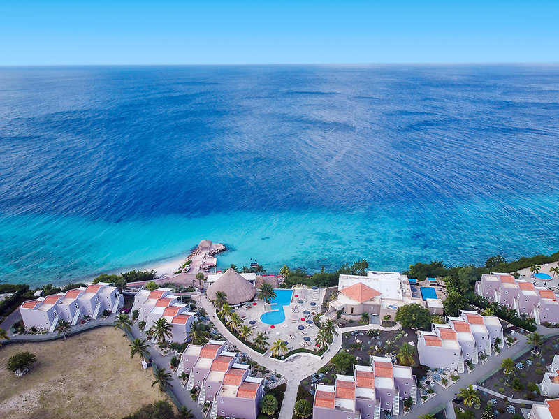 Coral Estate Luxury Resort 2