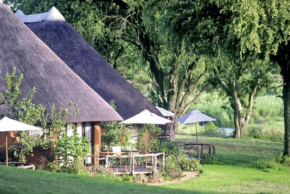 MalaMala Game Reserve - Main Camp / Sable Camp / Rattrays 15
