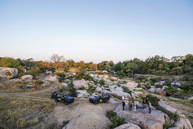 MalaMala Game Reserve - Main Camp / Sable Camp / Rattrays 17