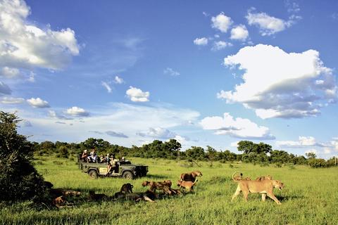 MalaMala Game Reserve - Main Camp / Sable Camp / Rattrays 50