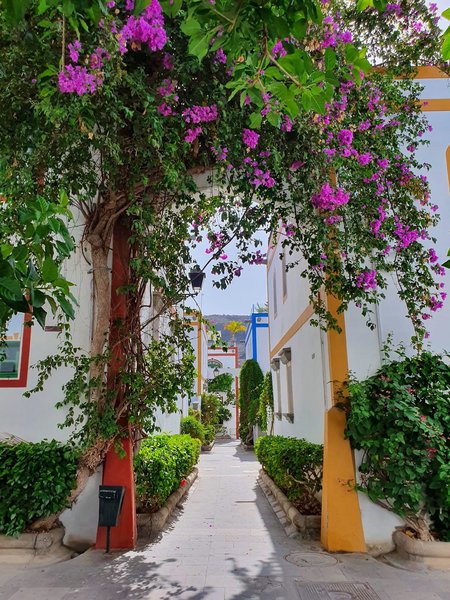 Apartamentos LIVVO Puerto de Mogán 4
