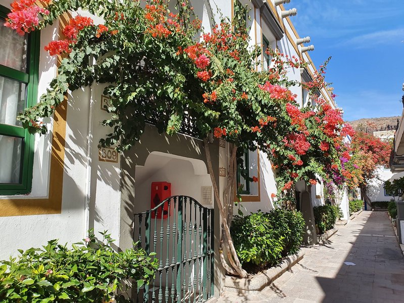 Apartamentos LIVVO Puerto de Mogán 6