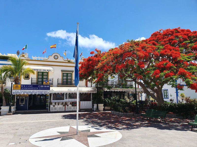 Apartamentos LIVVO Puerto de Mogán 10
