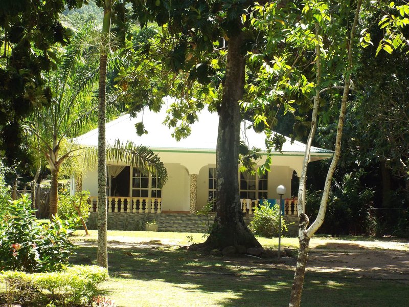 Chalet Bamboo Vert 2