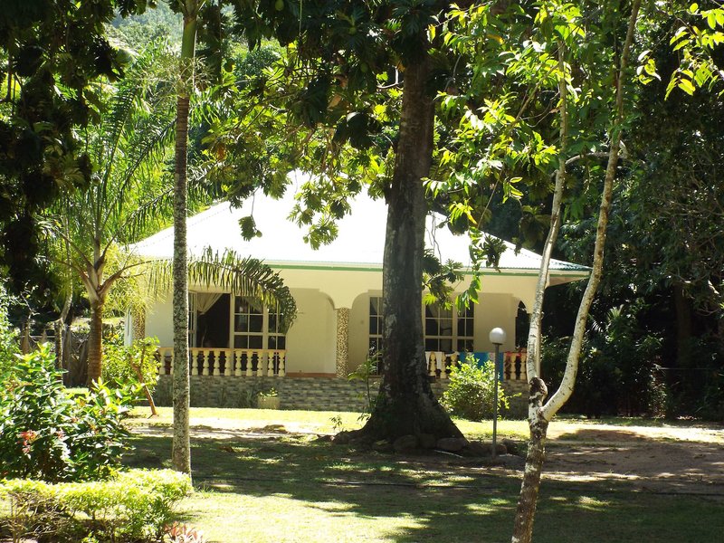 Chalet Bamboo Vert 2