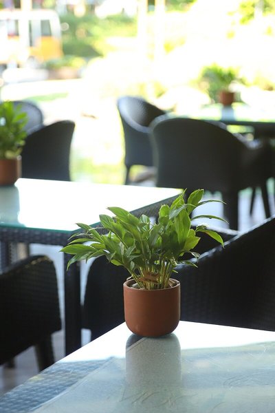 Almanity Hoi An Resort & Spa 28