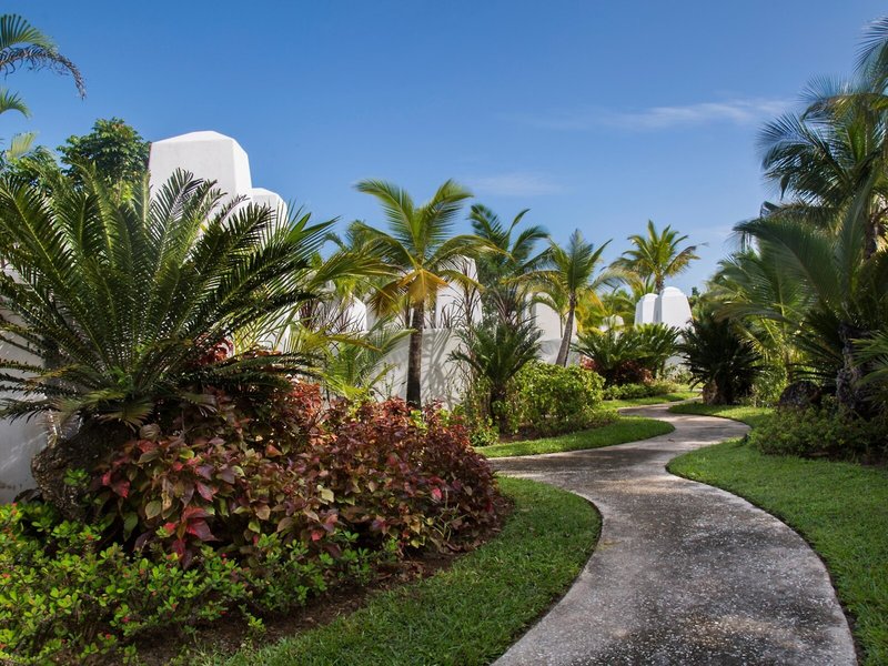 Constance Aiyana  15