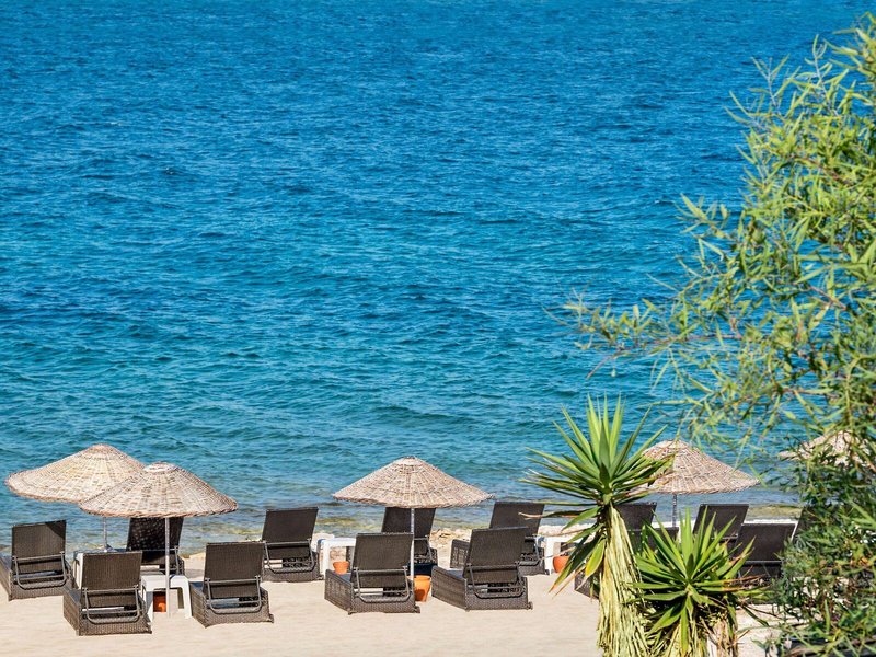 Casa De Playa Luxury Hotel & Beach 5