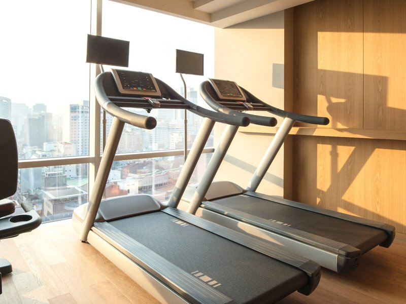 ibis styles Ambassador Seoul Myeongdong 16 - Sports and leisure